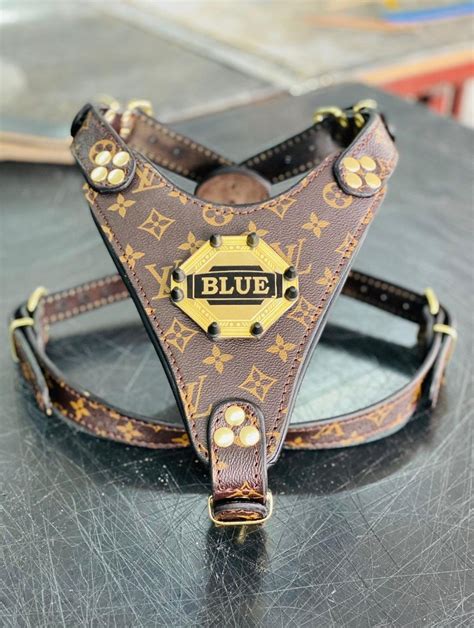 louis vuitton cat|Louis Vuitton cat collar.